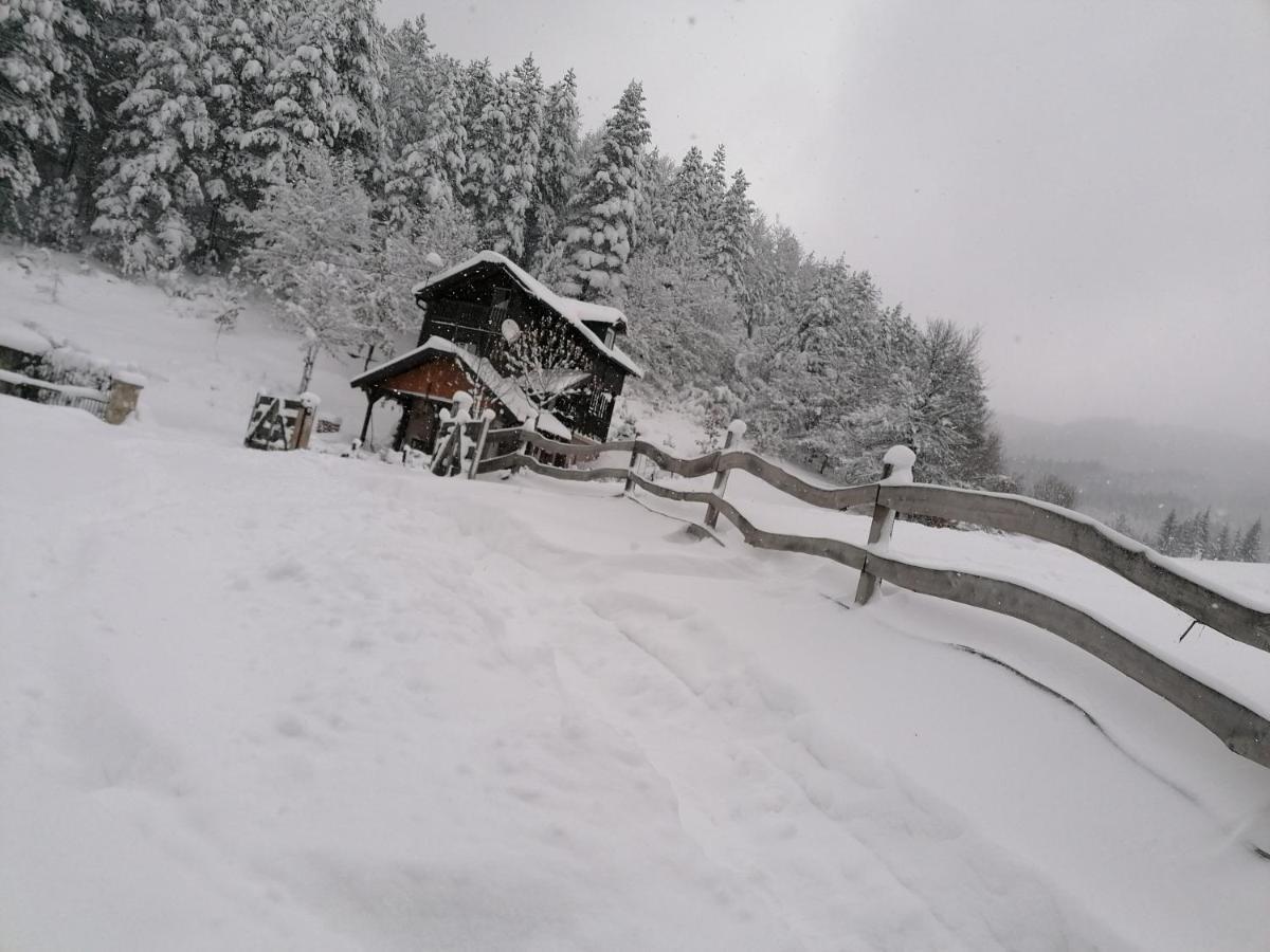 Vikendica Moonlight Villa Zaovine Bagian luar foto