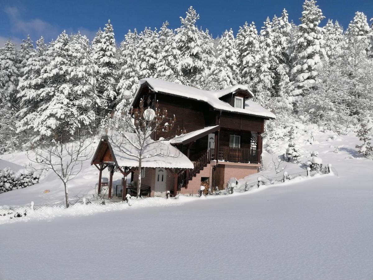 Vikendica Moonlight Villa Zaovine Bagian luar foto