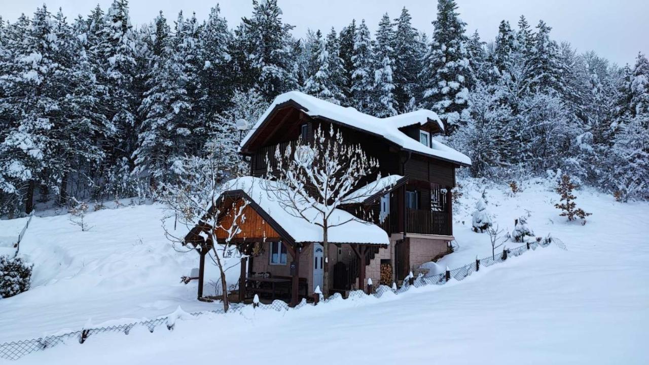 Vikendica Moonlight Villa Zaovine Bagian luar foto